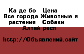 Ка де бо › Цена ­ 25 - Все города Животные и растения » Собаки   . Алтай респ.